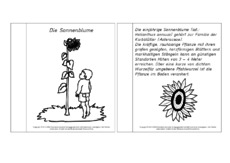Mini-Buch-Sonnenblume-Lesetext-SW.pdf